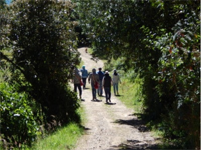 Caminatas cerca a Bogota - Caminatas en La Calera