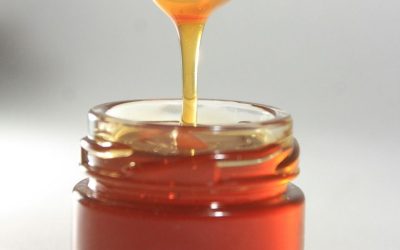 El Secreto Dorado del Páramo: Descubre la Miel Pura y Artesanal de Villa del Moján