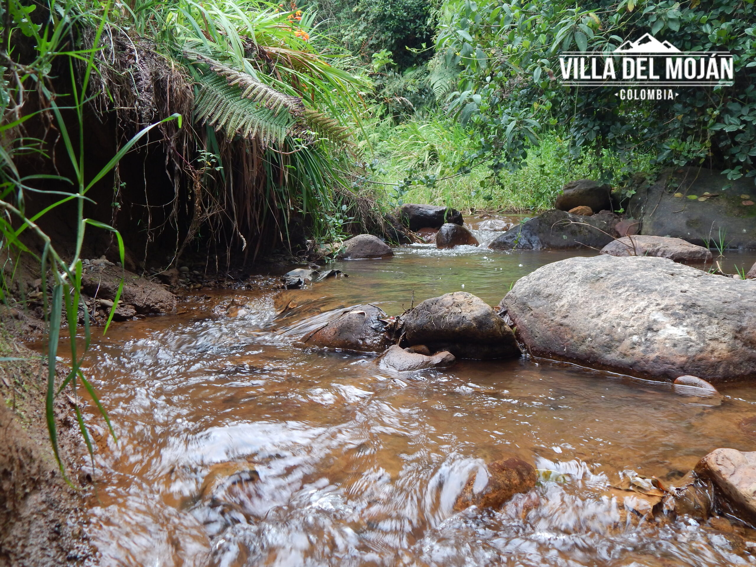 Hotel para Talleres y eventos y Yoga Hotel para Talleres y eventos y Yoga