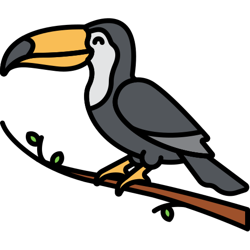 Birdwatching